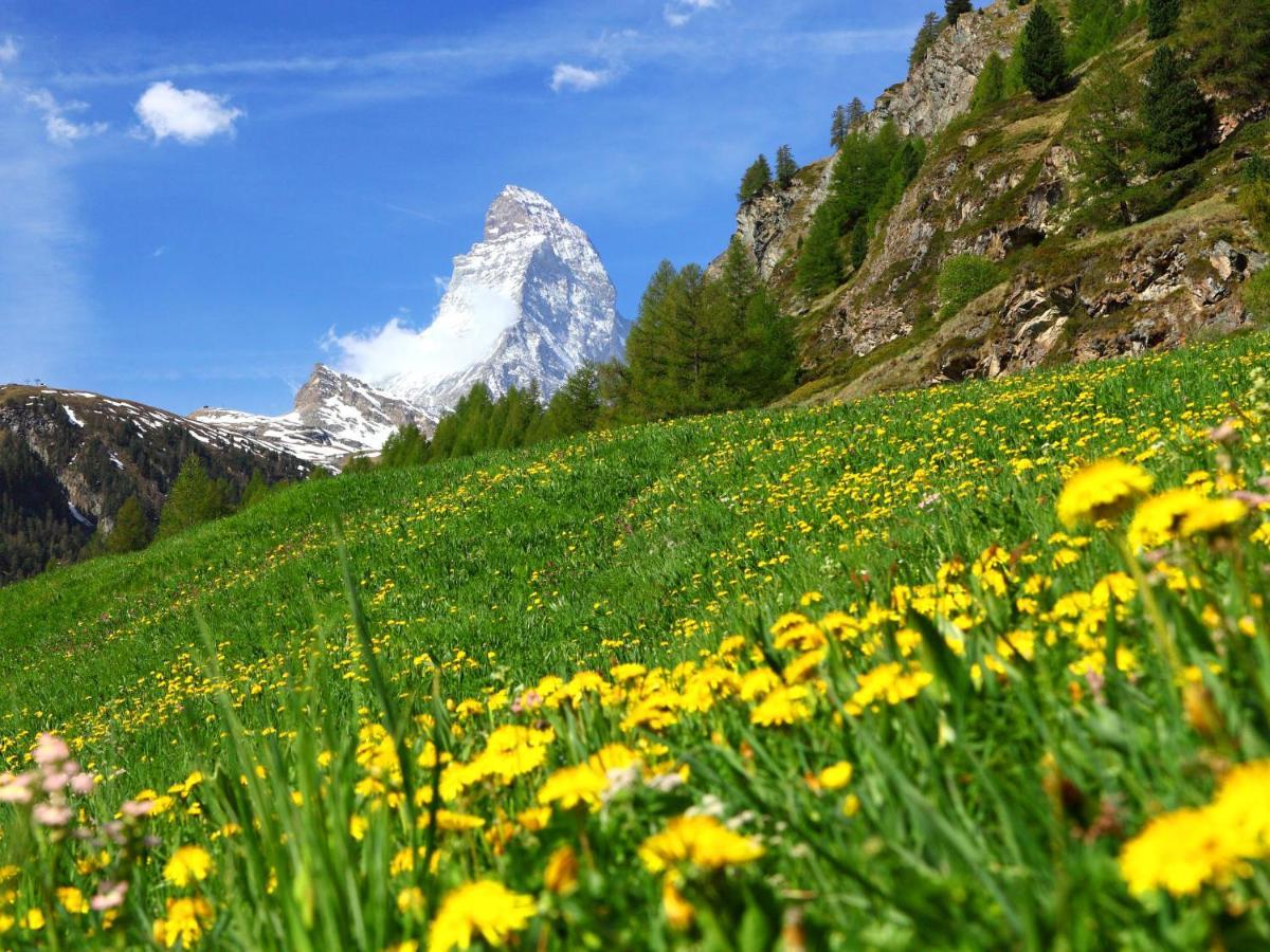 Holiday Home Gaedi By Interhome Zermatt Eksteriør bilde